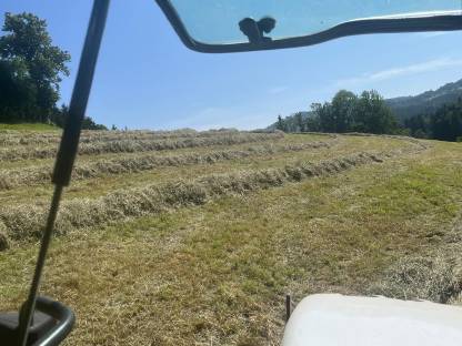 Bild 3:BIO Heu 2025, Naturland, Bio Austria