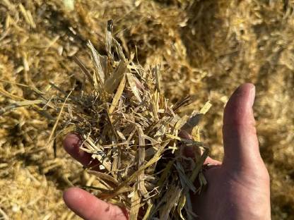 Bild 5:Stroh und Heu