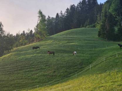 Einstellplatz
