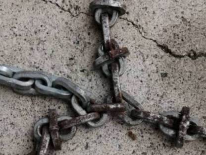 Bild 2:Traktor Schneeketten