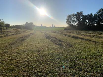 Bild 2:Heu 1. & 2. Schnitt Ernte 2025