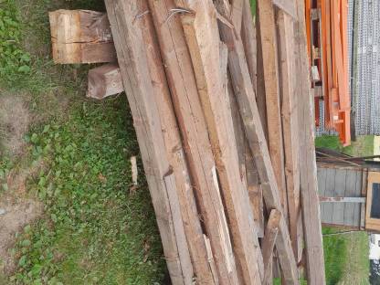 Bild 3:Altholz