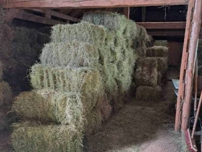 Bild 3:Klein Heuwürfel