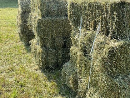 Bild 4:Kleinballen zu verkaufen