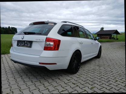 Bild 4:Skoda Octavia