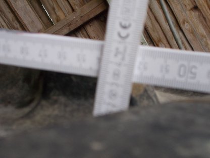 Bild 2:Reifen Pirelli 650/65 R 42