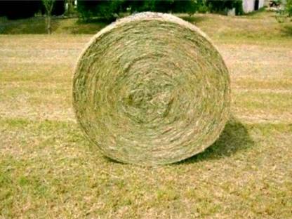 Heurundballen 150 cm, Ernte 2025