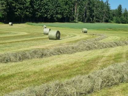 Bild 4:Heuballen