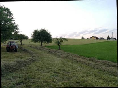 Heu Bzk. Voitsberg
