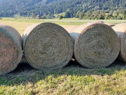 Bio-Heu mit Zertifikat