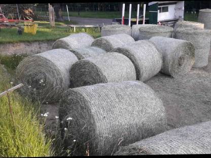 Bild 2:Pferdeheu 1. Schnitt 2025 von BIO-Betrieb