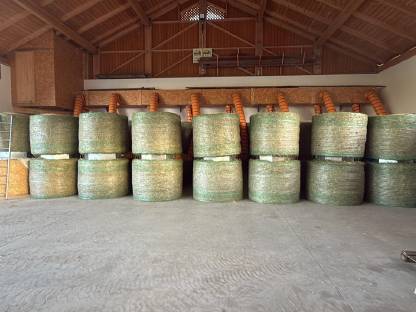 Bild 2:Heu-Rundballen belüftet