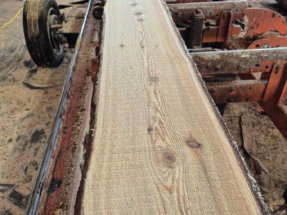 Bild 3:Lärchenpfosten