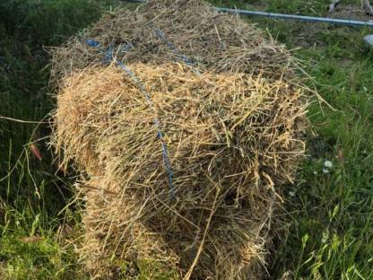 Bild 2:Heu Kleinballen