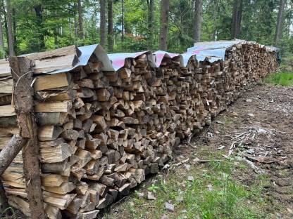 Buchen Brennholz