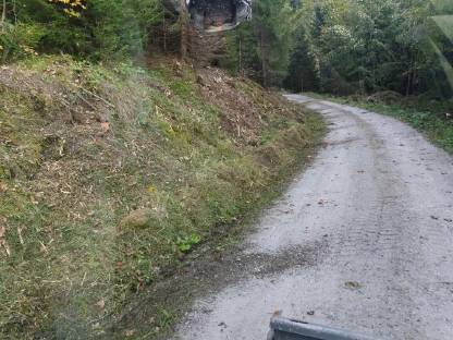 Bild 7:Bagger-Abbrucharbeiten, Forstwegebau