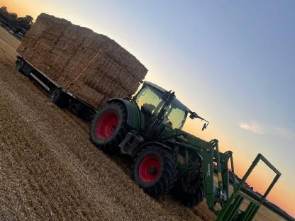 Stroh in Quaderballen Gerste, Triticale und Weizen