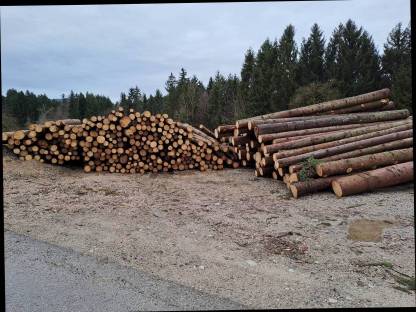 Bild 2:Forstarbeiten