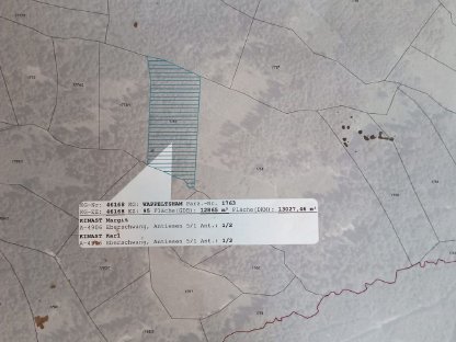Bild 4:Wald 3 Parzellen im Hausruckwald 1,6 Hektar