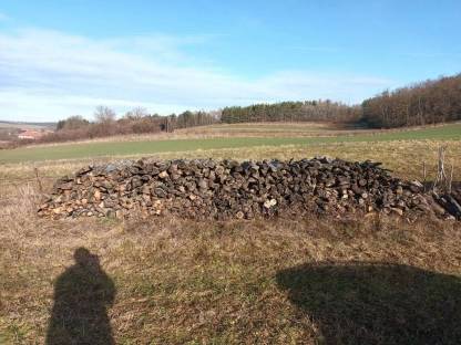 Brennholz Eiche, Kaminholz Buche