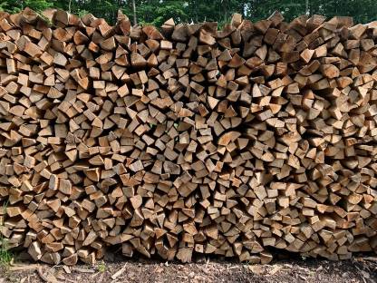 Bild 3:Brennholz aus dem Wienerwald