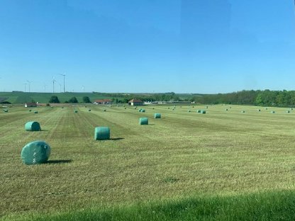 Bild 2:Luzernesilageballen