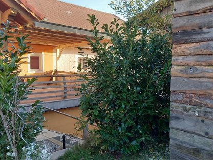 Vergebe kl Wohnung Telmöbeliert