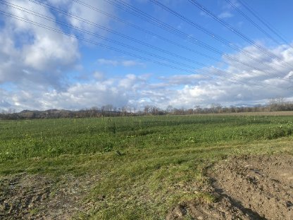 Asten: Landwirtschaftlicher Nutzgrund zu verkaufen