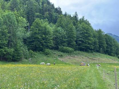 Bild 5:Einstellplatz