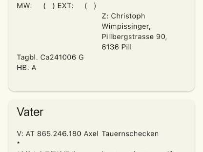 Bild 9:Tauernschecken Jungbock Rocky