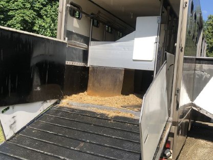 Bild 4:Pferde LKW DAF 65 210