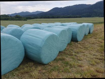 Bio Silageballen