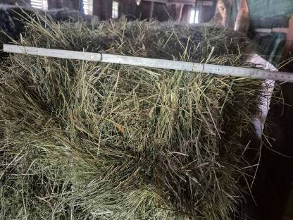 Bild 4:Verkaufe HD-Ballen