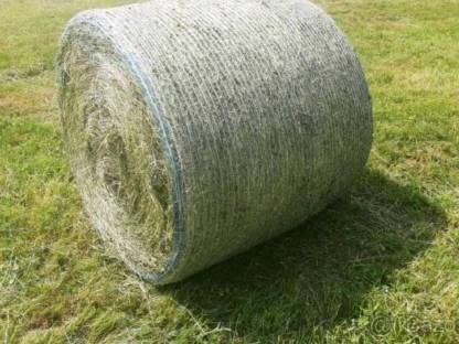 Heurundballen ab 2026
