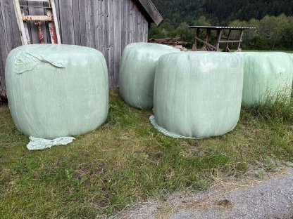 Heulageballen 2025
