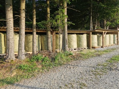 Bild 3:Wiesenheu unkrautfrei u. ungedüngt