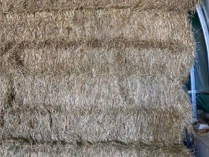 Bild 4:Heuquaderballen