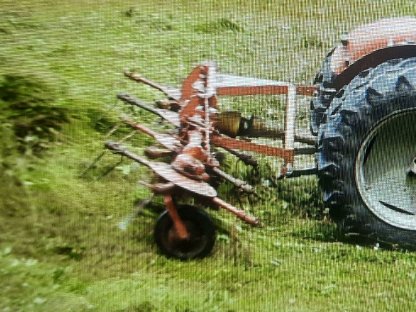 Bild 2:Heuwender, Kreiselheuer