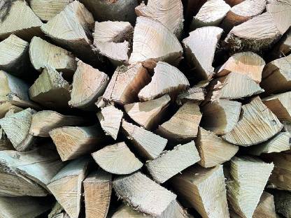 Bild 3:Brennholz hart