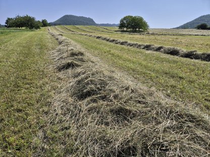 Bild 2:Heurundballen