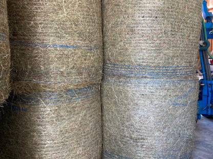 Bild 4:Heuballen 1. Schnitt - Ernte 2025