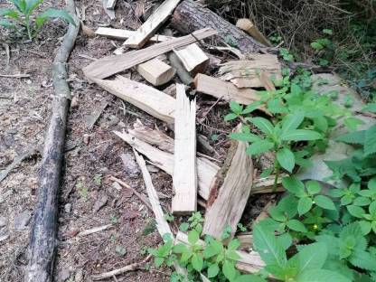 Bild 3:Brennholz Restholz