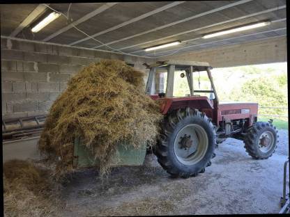 Bild 4:Steyr 650 Allrad