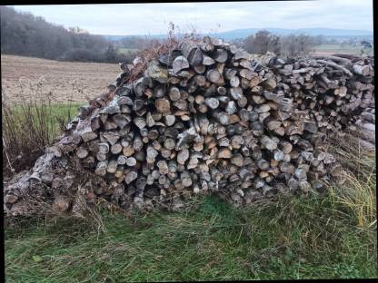 Brennholz ca. 3,3 m Weichholz