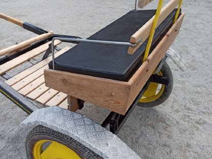 Bild 2:Kutsche / Gig