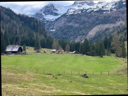 Melker/Hirte