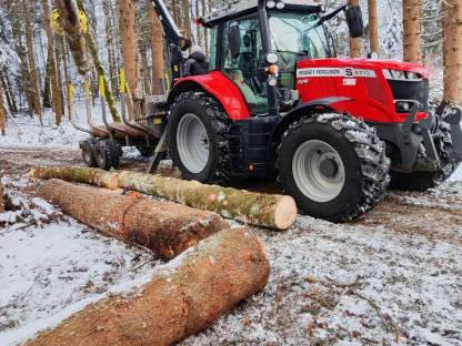 Bild 5:Baumfällung, Heckenschnitt uvm.