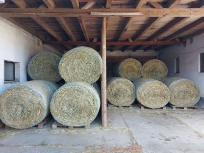 Bild 2:Wiesenheu in Rundballen