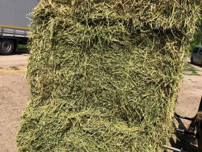 Bild 5:Stroh und Luzerne – Jetzt reservieren!