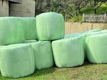 Silageballen